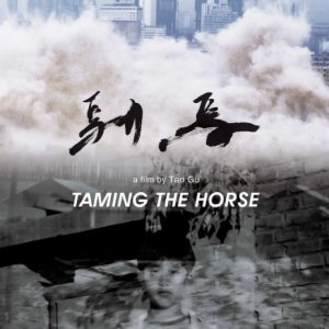 Taming the horse (2017)