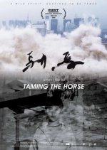 Taming the Horse Chinese Movie photo