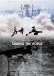 Taming the Horse