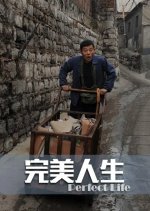 Perfect Life Chinese Movie photo