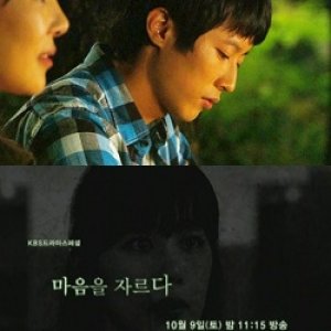 Drama Special Season 1: Cutting off the Heart (2010)