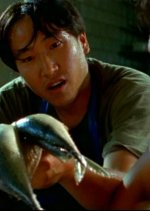 In The Jungle Korean Movie photo