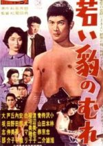 Herd of Young Leopards Japanese Movie photo