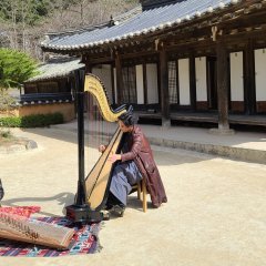 1247 Korean Movie photo