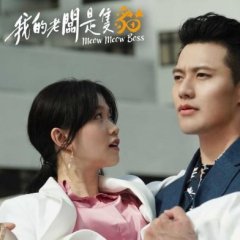 Meow Meow Boss Taiwanese Drama photo