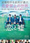 Love and Lies japanese movie review