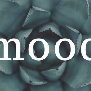 Kamisama no Boto  (2013)