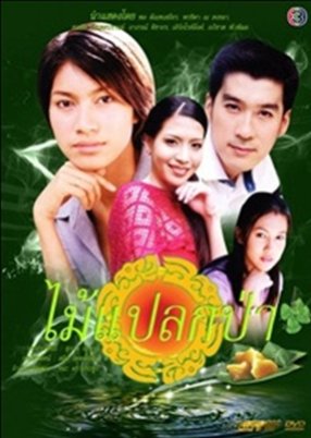 Mai Plag Paa (2001) poster