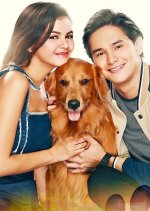 Sherlock Jr. Philippines Drama photo