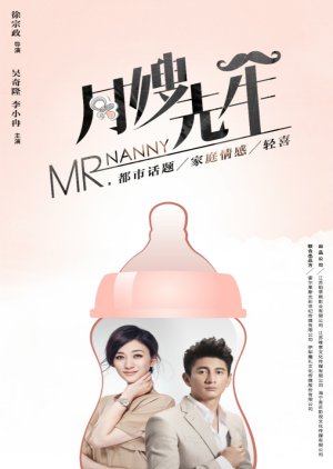 Mr. Nanny (2018) poster