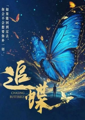 Chasing Butterfly () poster