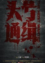 The Most Wanted Chinese Movie photo