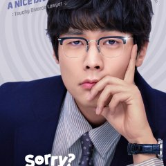 Sorry Not Sorry Korean Drama photo