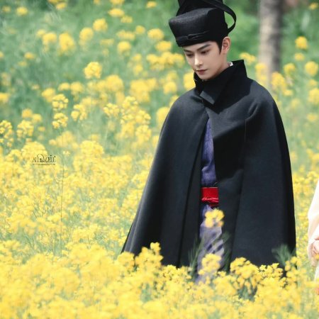 The Palace Stewardess ()