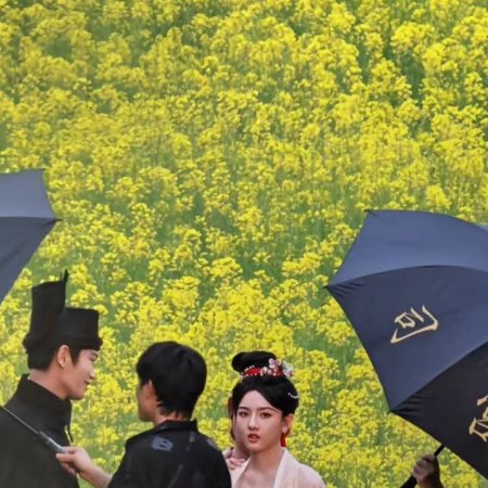 The Palace Stewardess ()