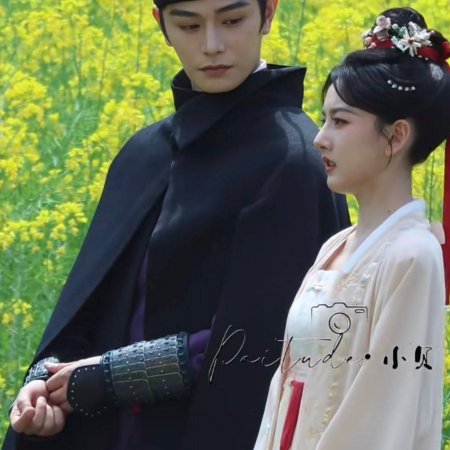 The Palace Stewardess ()