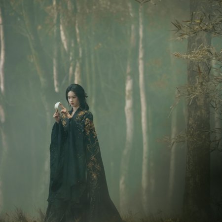 Veil of Shadows (2026)