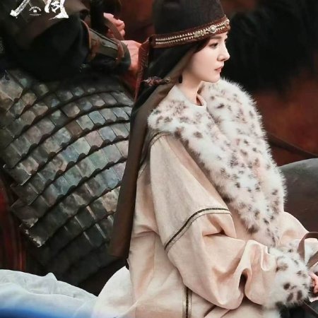 Northern Wei Dynasty ()