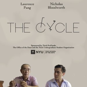 The Cycle (2017)