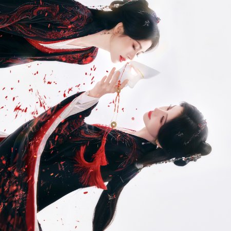Veil of Shadows (2026)