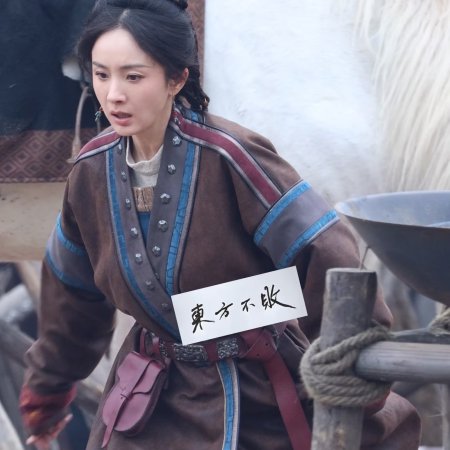 Northern Wei Dynasty ()