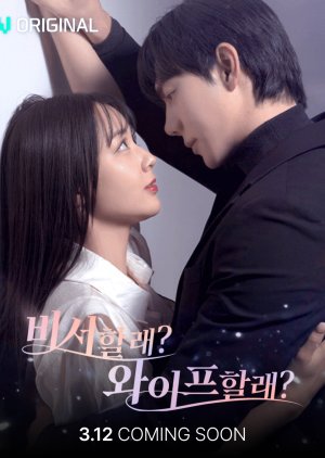 My Secretary Who Once Was My Wife (2026) poster