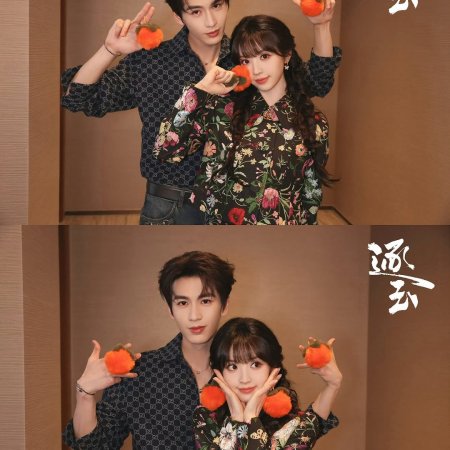 Pursuit of Jade (2026)