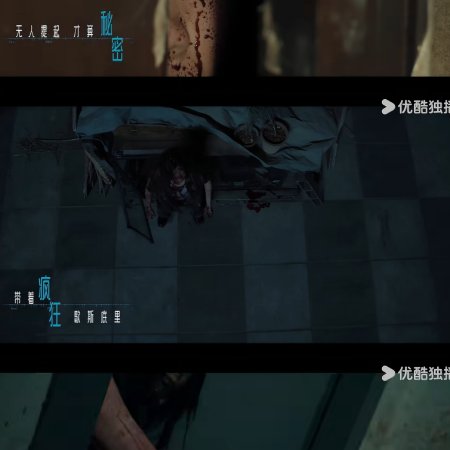 Light to the Night (2026)