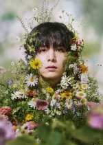 Labyrinth of Hortensia and the Minotaur