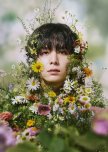 Labyrinth of Hortensia and the Minotaur