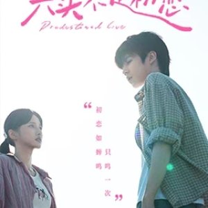 Predestined Love (2026)