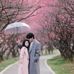 É Minha Luz Chinese Drama(2025) photo