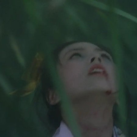 The Devil's Island (1977)