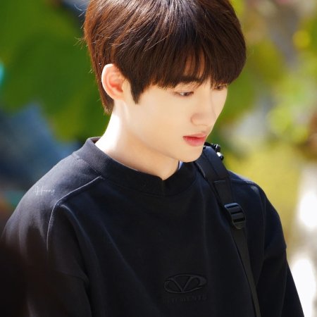 Sunshine through the Rain ()