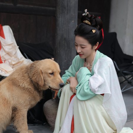 Swords into Plowshares (2026)