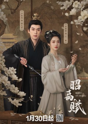 Elegy of ZhaoLi poster