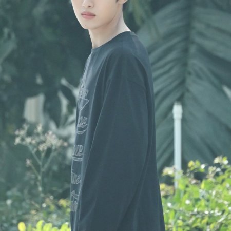 Sunshine through the Rain ()