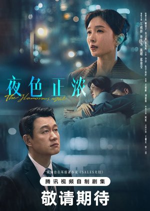 The Glamorous Night poster