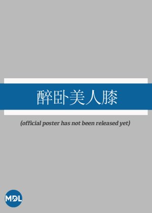Zui Wo Mei Ren Xi (0000) poster