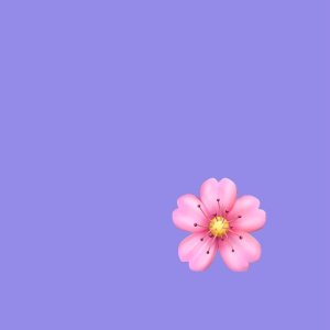 nhii