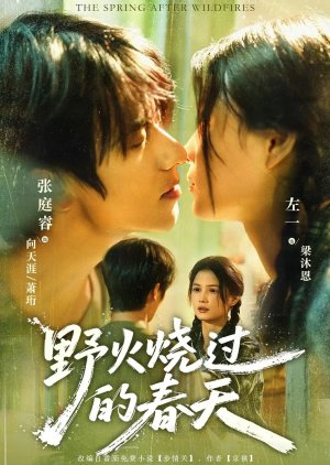 The Spring after Wildfires (2025) poster