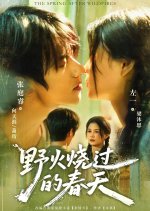 The Spring after Wildfires Chinese Drama(2025) photo