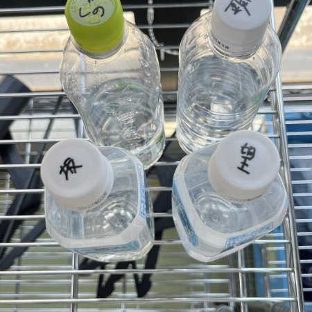 Punks Triangle (2025)