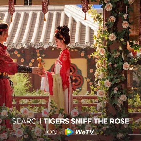 Tigers Sniff the Rose (2026)