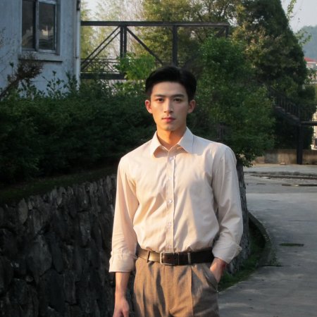 Shadow Detective (2025)