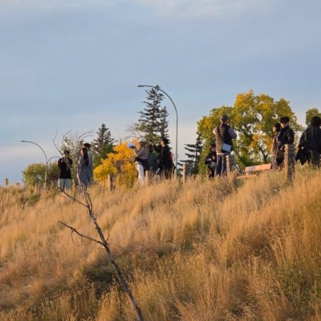 Can This Love Be Translated? (2026)