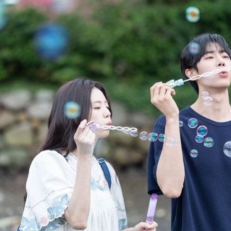 Even if This Love Disappears from the World Tonight (2025)