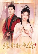 Yuan Lai Jiu Shi Ni Chinese Drama(2024) photo