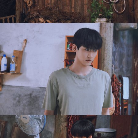 Sniper Butterfly (2025)