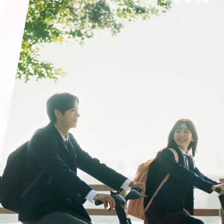 Head over Heels (2025)
